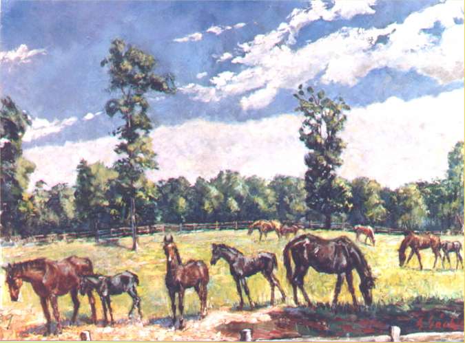 marescolts.jpg (51116 bytes)