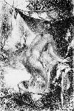 thumb2.jpg (8955 bytes)